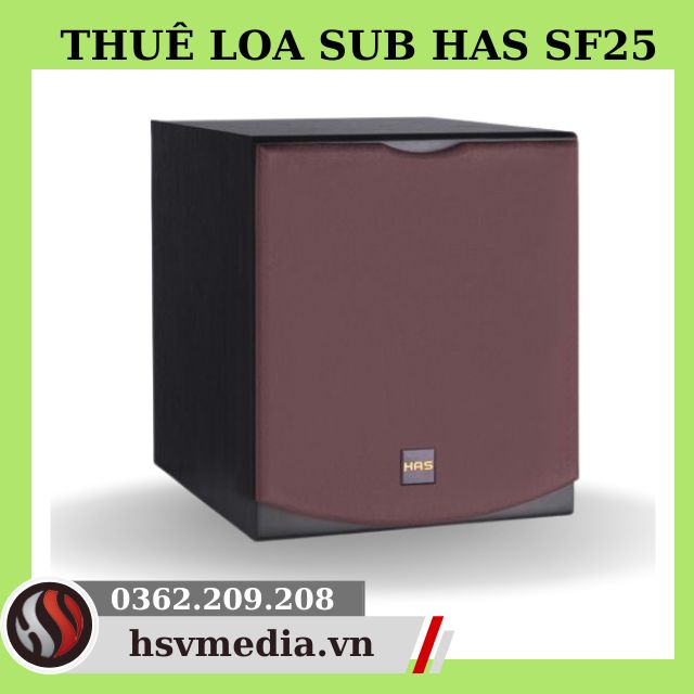 Cheap Subwoofer Rental (Subwoofer) In Ho Chi Minh City