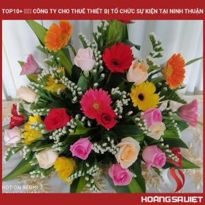 Top 10 Event Equipment Rental Companies in Ninh Thuan