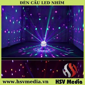 Bán & Cho Thuê Đèn Cầu Led Nhím